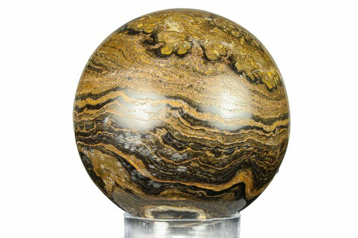 Polished Stromatolite (Greysonia) Sphere - Bolivia #302438